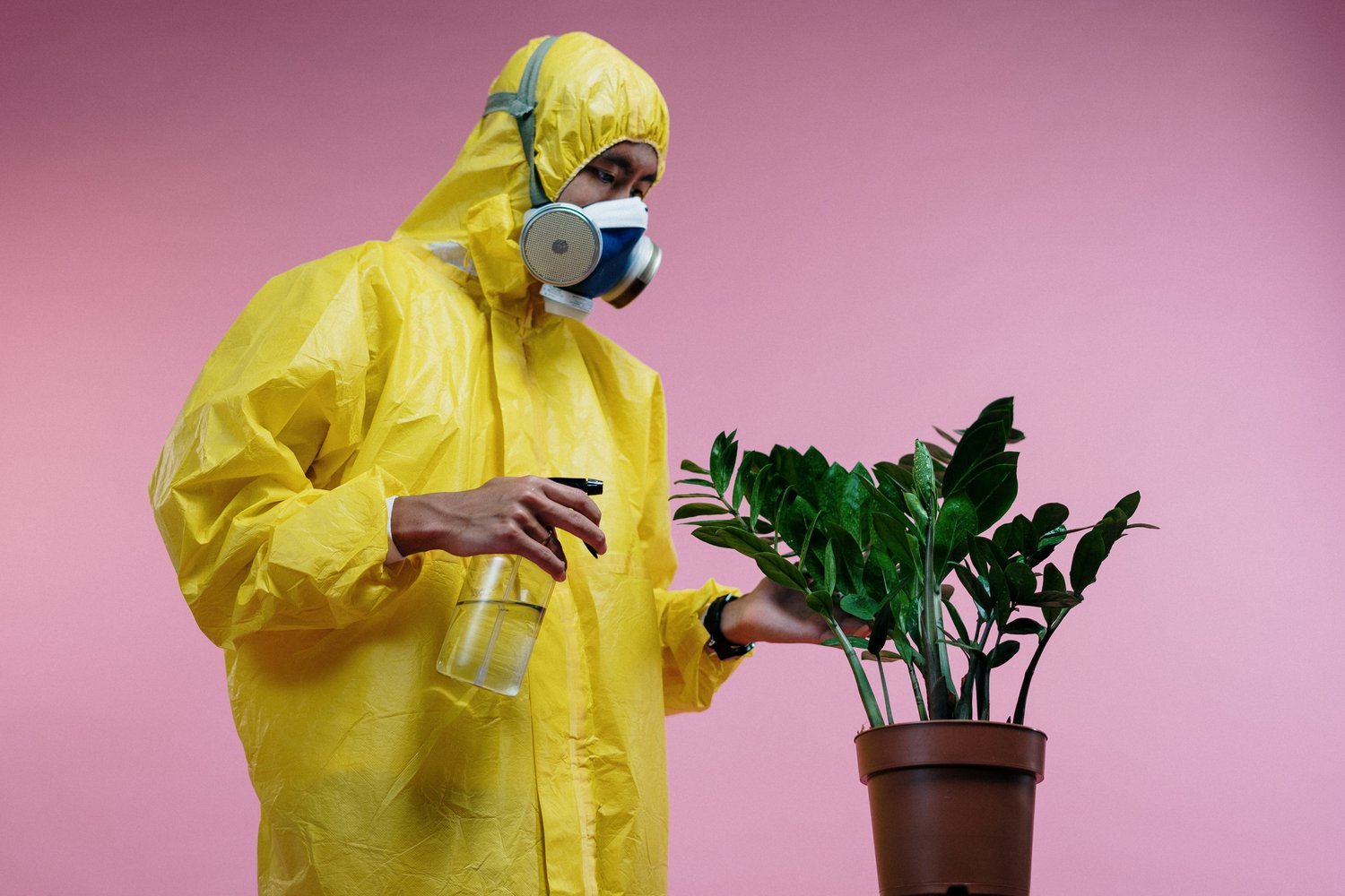 person-in-yellow-coveralls-spraying-plant-3951388